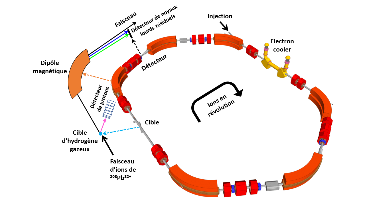 La figure "fig_3Dring" représente l'anneau de stockage. On voit les dipoles magnétiques en orange. La partie inférieure montre la portion de l'anneau où nos détecteurs ont été installés. Les trajectoires des hydrogènes ou protons diffusés, du faisceau et des résidus lourds formés après emission gamma et après l'émission de neutrons sont représentées par les flèches rose, noire, bleue et verte, respectivement.