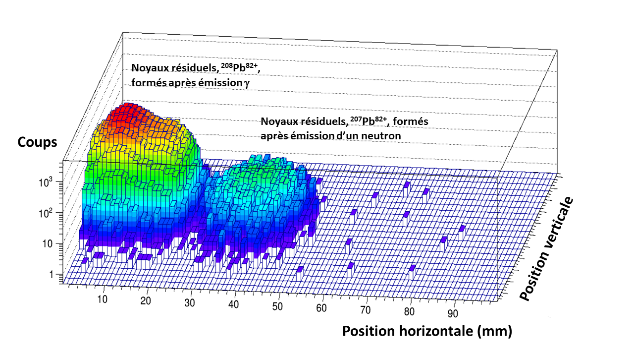 La figure "fig_results"représente la position des noyaux résiduels lourds mesurés dans le détecteur placé après l'aimant dipolaire dénommé « détecteur de noyaux résiduels lourds » dans la figure précédente. Les résidus lourds formés après l'émission de neutrons sont sur la bosse de droite très bien séparés des résidus lourds formés après l'émission gamma, qui sont sur la bosse de gauche.
